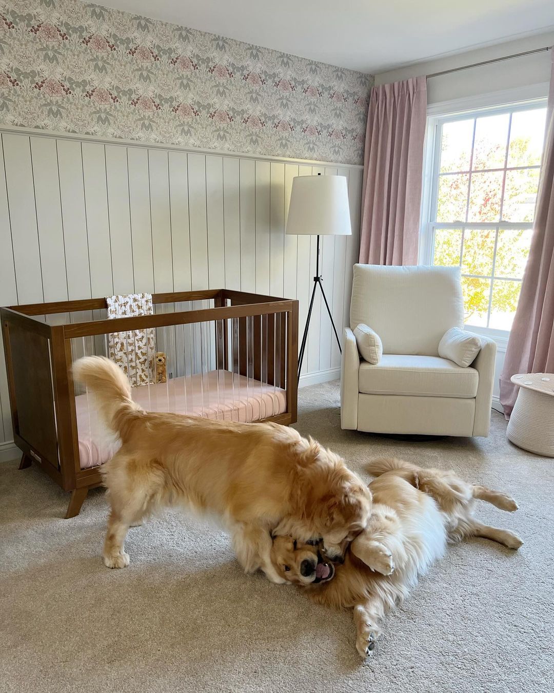 image of 2 dogs,Ethan Recliner and Swivel Glider and Otto 3-in-1 Convertible Mini Crib with 4" Mattress