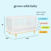 W4901WN,DaVinci,Marley 3-In-1 Convertible Crib in White Finish and Natural Legs