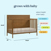 M25141L,DaVinci,Birdie 4-in-1 Convertible Crib in Walnut