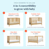 M27801HY,DaVinci,Sammy Scallop 4-in-1 Convertible Crib in Honey