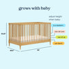 M33201HY,DaVinci,Lainey Bobbins 3-in-1 Convertible Crib in Honey