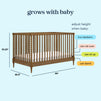 M33201L,DaVinci,Lainey Bobbins 3-in-1 Convertible Crib in Walnut
