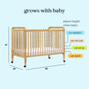 M7391HY,DaVinci,Jenny Lind Stationary Crib in Honey