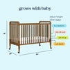 M7391L,DaVinci,Jenny Lind Stationary Crib in Walnut