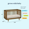 W4901L,DaVinci,Marley 3-In-1 Convertible Crib in Walnut