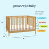 M25101HY,DaVinci,Birdie 3-in-1 Convertible Crib in Honey