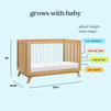 M22501HYK,DaVinci,Otto 3-in-1 Convertible Crib in Honey/Acrylic